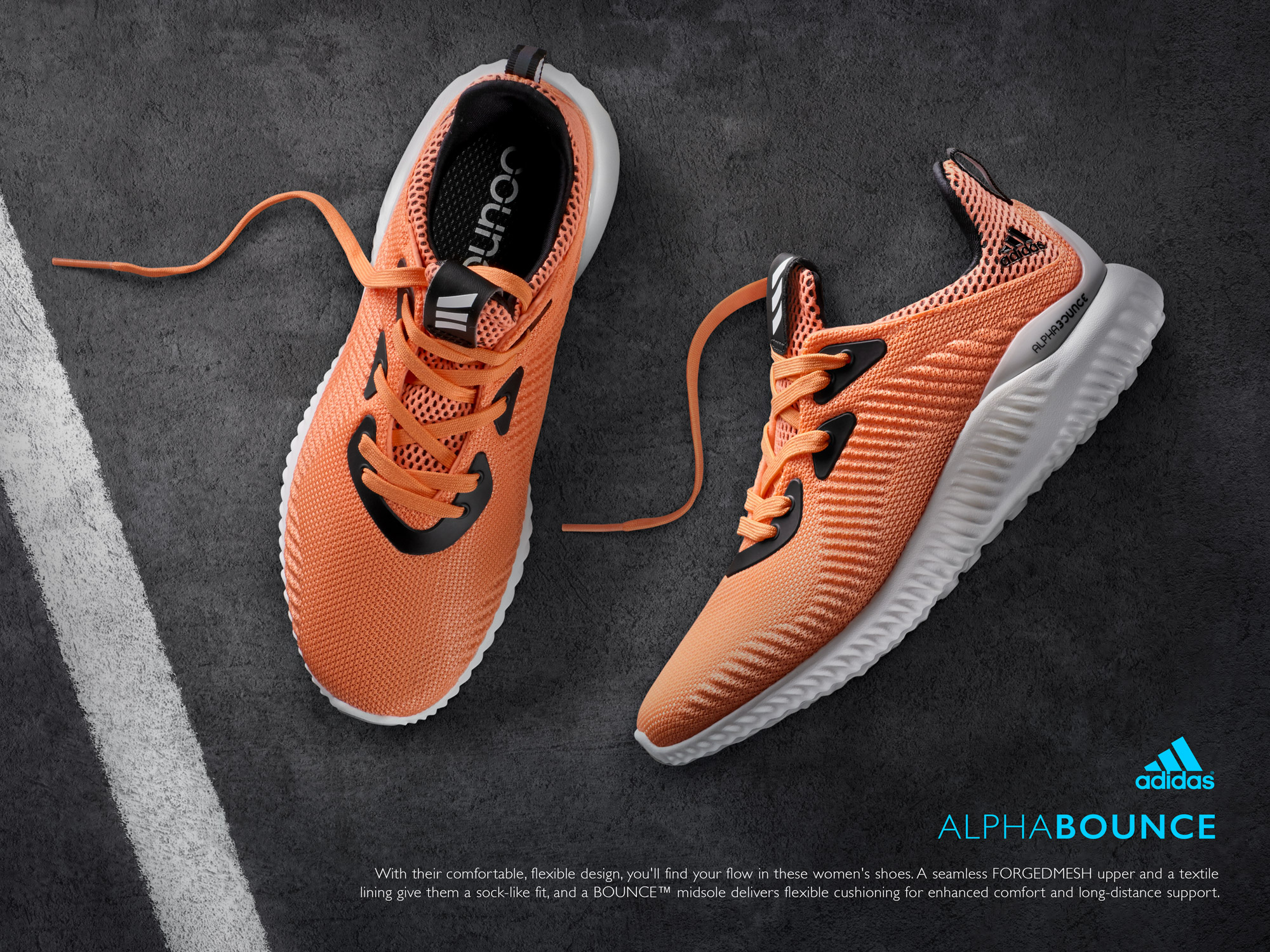 Adidas Alphabounce | Asphalt